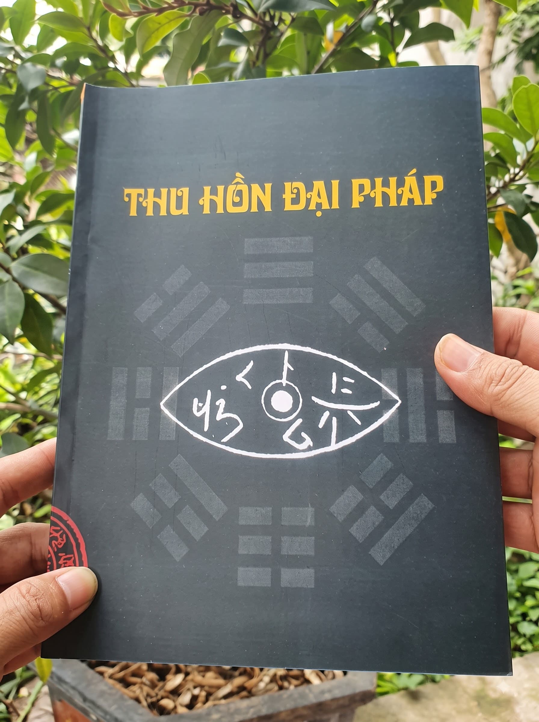 Thu Hồn Đại Pháp — ảnh 1