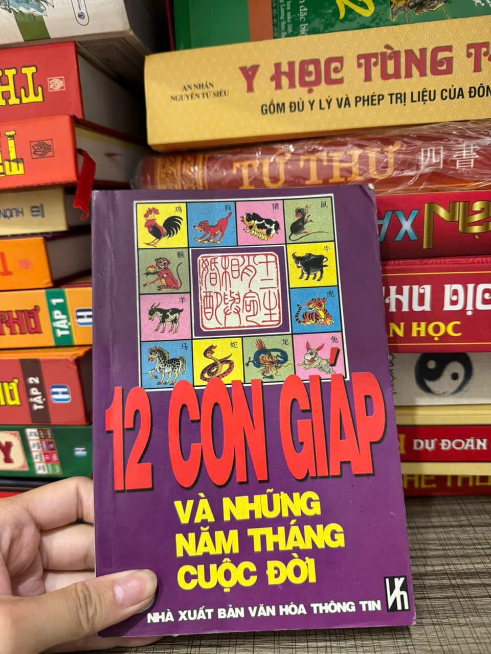 12 Con Giáp Và Những Năm Tháng Cuộc Đời — ảnh 1